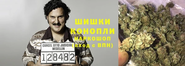 гашик Вязьма