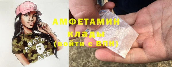 гашик Вязьма