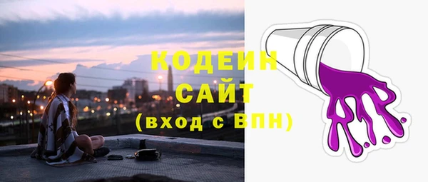 скорость Вяземский