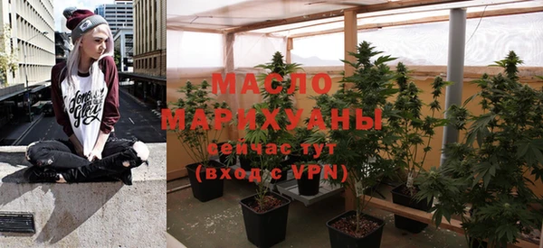 скорость Вяземский