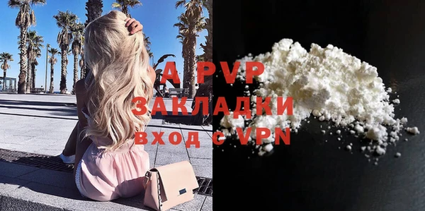 скорость Вяземский