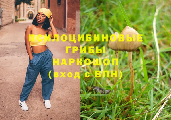 гашик Вязьма