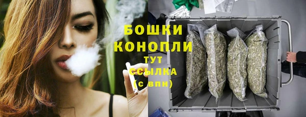 гашик Вязьма