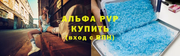 скорость Вяземский
