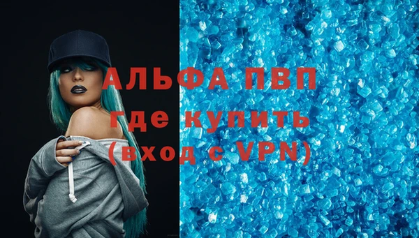 скорость Вяземский