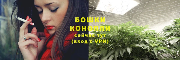 скорость Вяземский