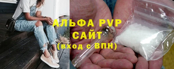 гашик Вязьма