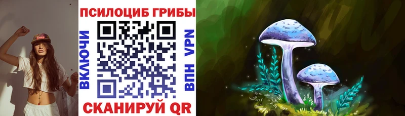 что такое наркотик  blacksprut ССЫЛКА  Псилоцибиновые грибы Magic Shrooms  Гурьевск 